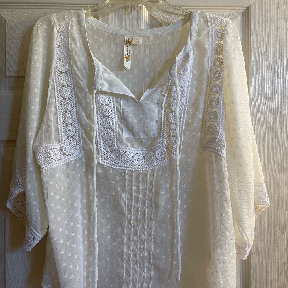 Adiva Cream Lace Embellished Sheer Women's Blouse